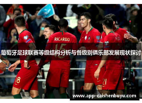 葡萄牙足球联赛等级结构分析与各级别俱乐部发展现状探讨